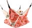 Small Animal Hammock, Warm Double Layer Hanging Hammock Bed, Chinchilla Ferret H Carousel 1
