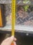 Slot car track Amusement ride business Carousel 14