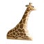 NOM Handcrafted Giraffe Sitting Carousel 3