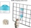 Water Dispenser For Small Animals Hamster Guinea Pig Rabbit Rat Ferret Gerbil C Carousel 3