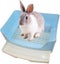 Loading Image 1 of 5
