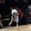 Breathable Mesh Pet Dog Sling Carrier, Hands-free Adjustable Padded Strap Single Carousel 3