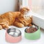 Cat Bowl, Pet Food Bowl, Tilted Stainless Steel Cat Bowl, Small Dog Bowl, Stainl Carousel 2