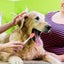Dog Toothbrush Pack 1 Long Handled Dual Headed Toothbrush + 2 Dog Finger Toothbr Carousel 3