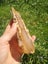 Plume Agate slab Stunning high quality from canterbury Carousel 4