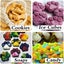 2 Pack Silicone Molds Puppy Dog Paw And Dog Bone Silicone Dog Treat Molds For Ba Carousel 4
