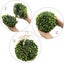 2 Pack Artificial Boxwood Topiary Plant Balls Decorative Faux Green Hanging Plan Carousel 2