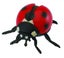 Loading Image 1 of 2