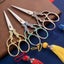 Stainless Steel Sewing Shears - Rainbow Embroidery Scissors For Diy Craft Carousel 3