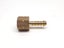 Brass Hose Tail 1/4" x 1/4" BSPP Female Carousel 2