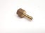 Brass Hose Tail 1/4" x 1/4" BSPP Female Carousel 3