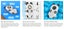 16GB MP3 Player for Kids,Cute Panda Portable Child Music Player Carousel 4