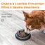 Slow Feeder Dog Bowls Insert Dog Bowl And Cat Bowl, Cuttable Dog Slow Feeder Wit Carousel 4