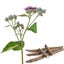 Loading Image 1 of 3