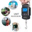 Portable Electronic Luggage Scale with Tape Measure - Max Weight, Travel/Shoppin Carousel 5