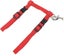 Adjustable Nylon Cat and Kitten Harness with Leash - Red Carousel 3