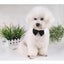 Pet Bow Tie Collar Adjustable Dog Cat Bow Tie Pet Formal Tuxedo For Small Dogs Carousel 4