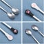 2pcs Dog Cat Spoon Pet Can Spoon Stainless Steel Pet Food Spoon Cat Claw Spoon P Carousel 3