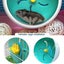 Silent Hamster Wheel, Silent Turntable, Super Quiet Sports Wheel For Hamster, Ad Carousel 3