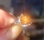 New incredible natural 1.7ct Cognac Diamond Engagement ring 14k white gold GIA Carousel 3