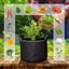 Set of 5 Non-Woven 1 Gallon Plant Grow Bags with Handles for Fruits and Vegetabl Carousel 2