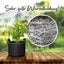 Set of 5 Non-Woven 1 Gallon Plant Grow Bags with Handles for Fruits and Vegetabl Carousel 4