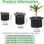 Set of 5 Non-Woven 1 Gallon Plant Grow Bags with Handles for Fruits and Vegetabl Carousel 5
