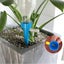 Drip Bottle, Drip Irrigation Bottle, Automatic Plant Sprinkler, Drip Irrigation, Carousel 4