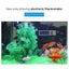 Aquarium Electronic Thermometer Exquisite Small Digital Fish Tank Water Temperat Carousel 2