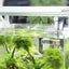 Aquarium Electronic Thermometer Exquisite Small Digital Fish Tank Water Temperat Carousel 4