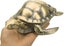 Windproof Ashtray With Lid Portable Cigarette Odor Ashtray Holder For Outdoor In Carousel 4