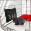 Rabbit Hay Feeder Bag, Guinea Pig Hay Feeder Storage, Rabbit Feeder Hay Feeder F Carousel 3