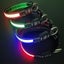 Adjustable Usb Rechargeable Light-emitting Collars For Pets, Small Dogs And Cats Carousel 3