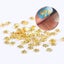 Holographic Nail Art Sequins Glitter Kit - Gold Mixed-Shape Metal Frame Shell Le Carousel 3