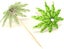 30pcs Tropical Coconut Palm Tree Paper Umbrella Cocktail Picks Parasol Fruit Pic Carousel 4