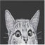 Loading Image 1 of 5