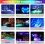 gallery view thumbnail
