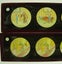 Antique Magic Lantern Glass Slides x 6 G Bing GBN Carousel 6