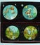 Antique Magic Lantern Glass Slides x 6 Carousel 3