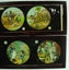 Antique Magic Lantern Glass Slides x 6 Carousel 5