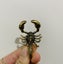 Antique Style Brass Copper Scorpion Keychain Pendant Crafts Decor Carousel 3