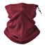 Neck Warmer Winter Neck Buff Windproof Tube Scarf for Men Bandana Carousel 7