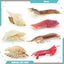 7pcs/set Mini Shrimp Crab Ocean Animals Model Toys - Unique Design, Simulation S Carousel 2
