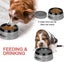 Pet Floating Water Bowl - Anti-Overflow Non-Spill Water Bowl for Dogs and Cats, Carousel 4