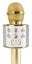 Karaoke Mic with built-in Speakers BT/MP3 Gold Carousel 4