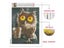 EverShine Diamond Mosaic Full Square Owl Rhinestones Art Animal Diamond Carousel 4