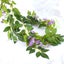 1/4Pcs Artificial Silk Wisteria Vine Rattan Hanging Flower Garland Ivy Plants Carousel 2