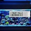 Electronic Aquarium Thermometer - Exquisite Small Two Sides' Adhesive High Sensi Carousel 3