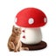 Loading Image 1 of 7