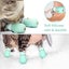 4 PCS Anti-Scratch Cat Foot Shoes Silicone Pet Claws Cover for Home Bathing Carousel 4